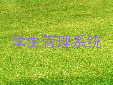 学生管理系统