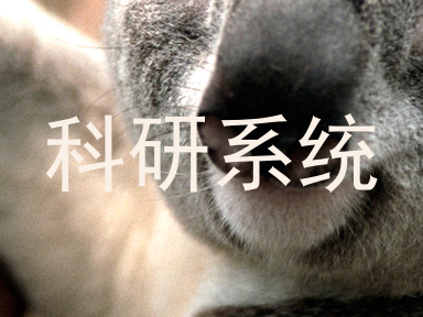 科研系统