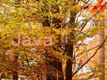 Java