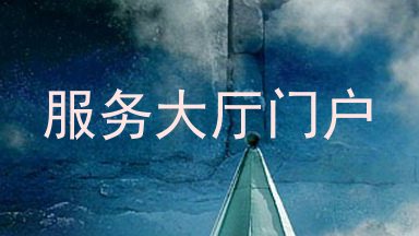 服务大厅门户