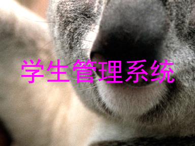 学生管理系统