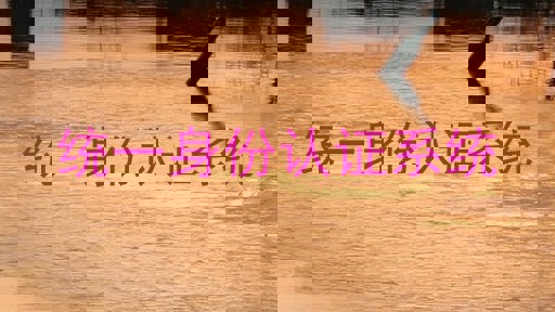 统一身份认证系统