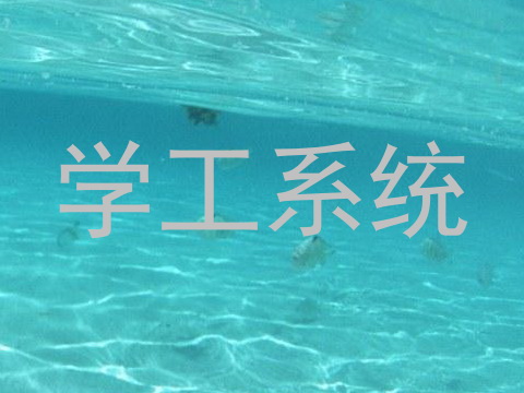 学工系统
