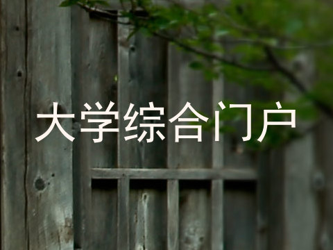 大学综合门户
