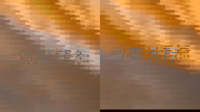 一站式网上办事大厅