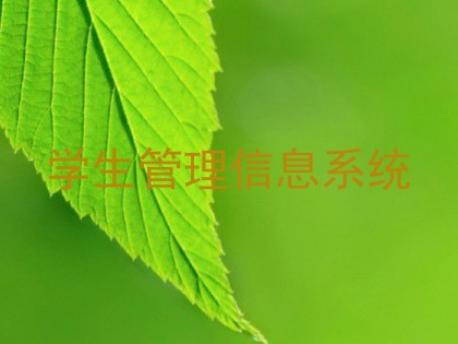 学生管理信息系统