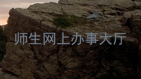 师生网上办事大厅