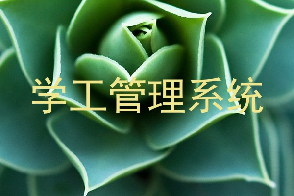 学工管理系统