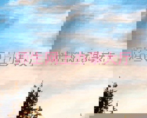 师生网上办事大厅