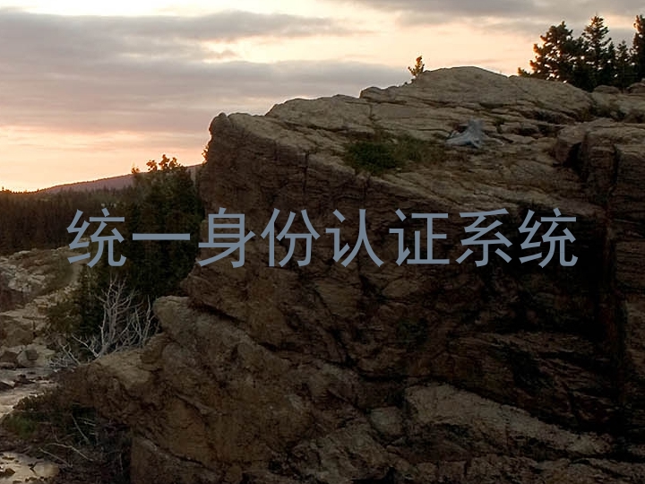 统一身份认证系统