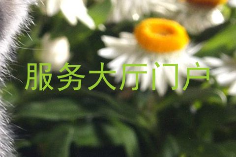 服务大厅门户