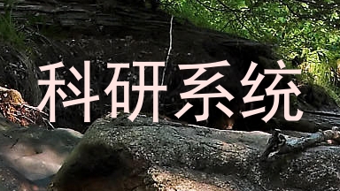 科研系统
