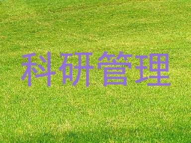 科研管理