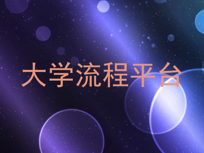 大学流程平台