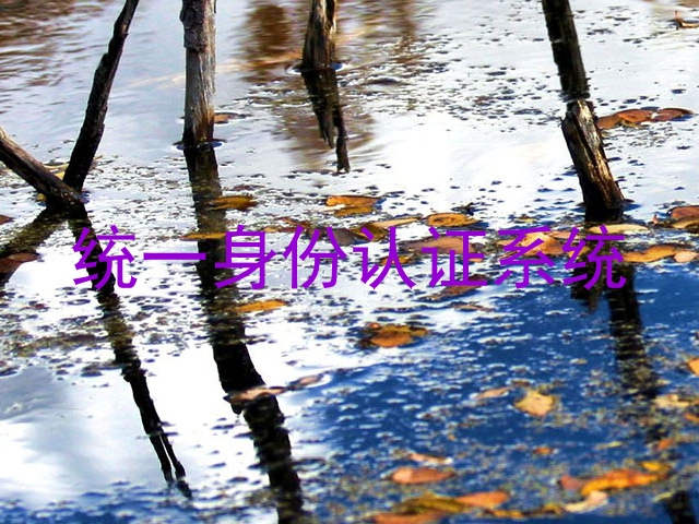 统一身份认证系统