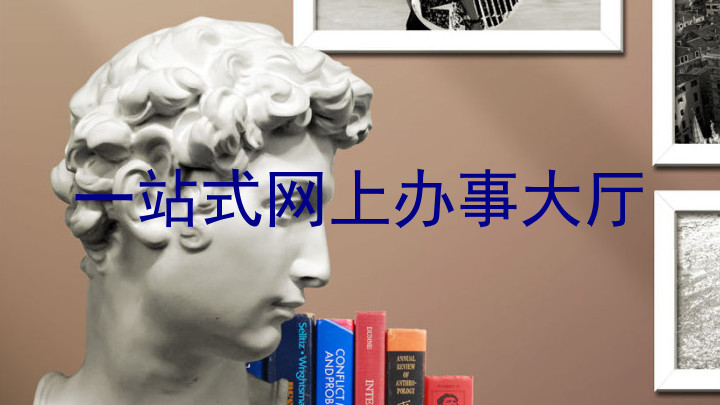 一站式网上办事大厅