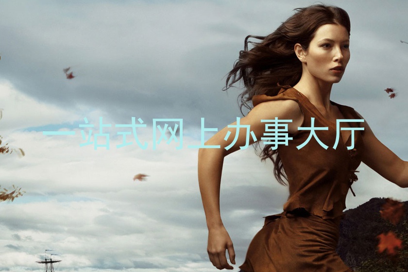 一站式网上办事大厅