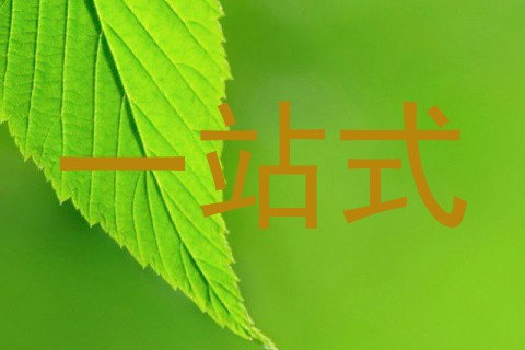 一站式