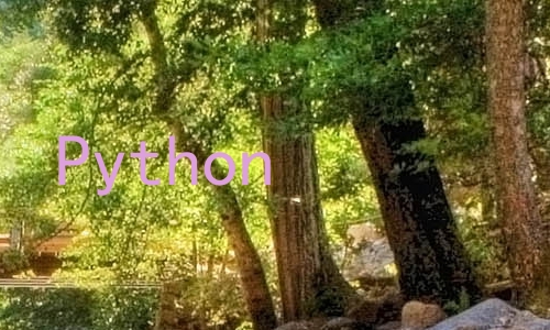 Python