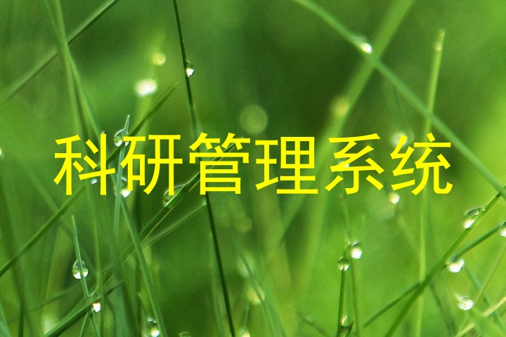科研管理系统
