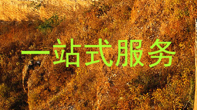 一站式服务