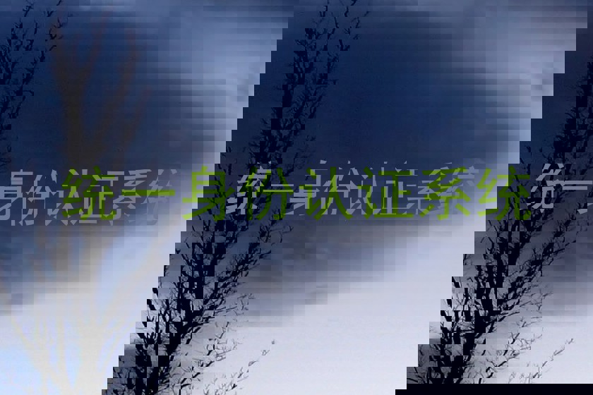 统一身份认证系统