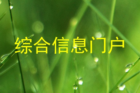 综合信息门户