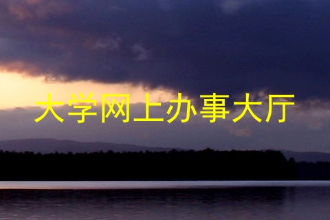 大学网上办事大厅