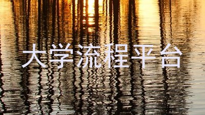 大学流程平台