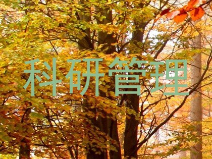 科研管理