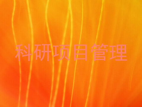 科研项目管理
