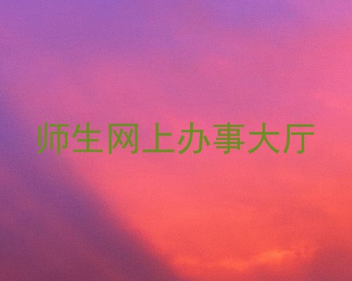 师生网上办事大厅