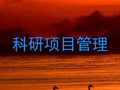 科研项目管理