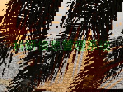 科研信息管理系统