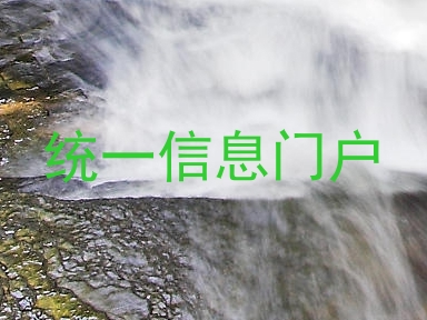 统一信息门户