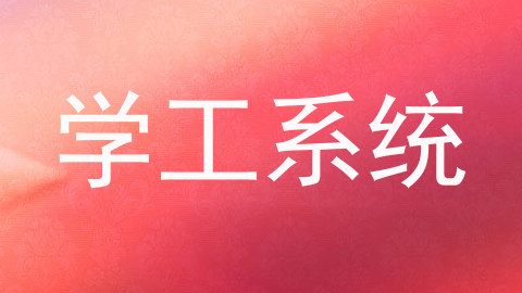 学工系统