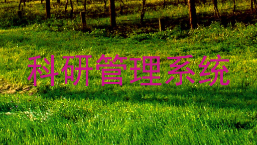 科研管理系统