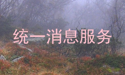 统一消息服务