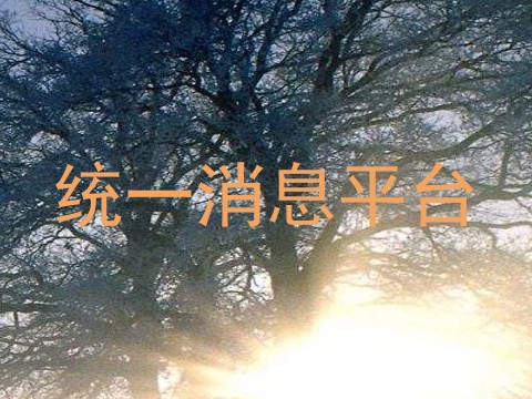统一消息平台
