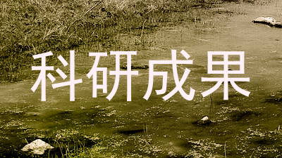 科研成果