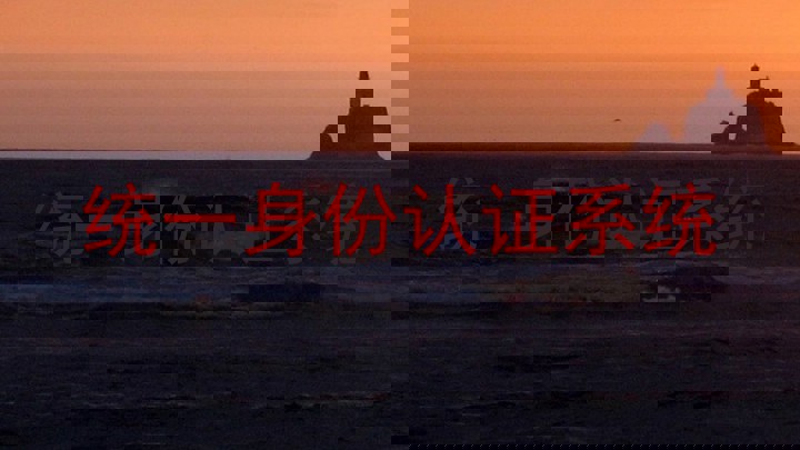 统一身份认证系统