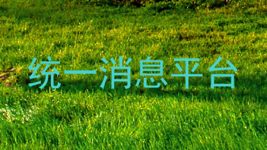 统一消息平台