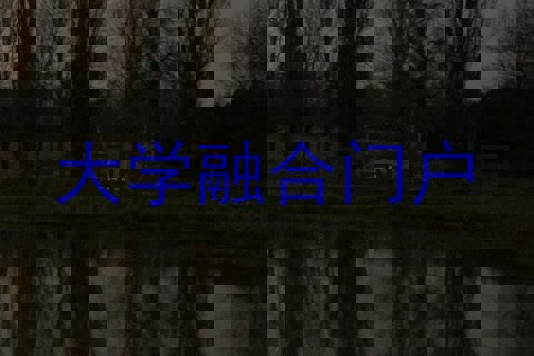 大学融合门户