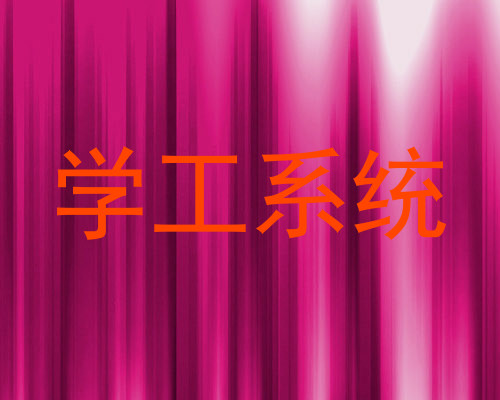 学工系统