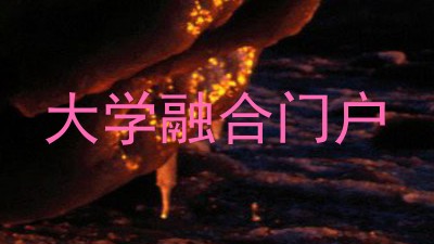 大学融合门户