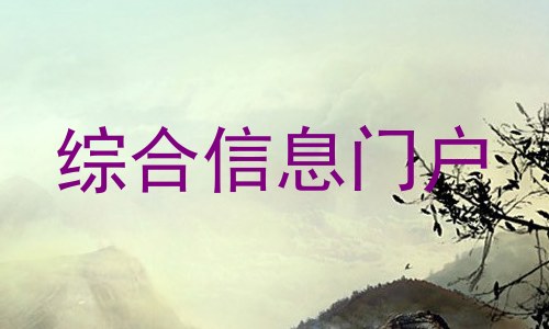 综合信息门户