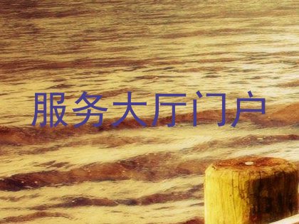 服务大厅门户