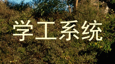 学工系统