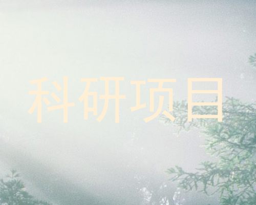科研项目