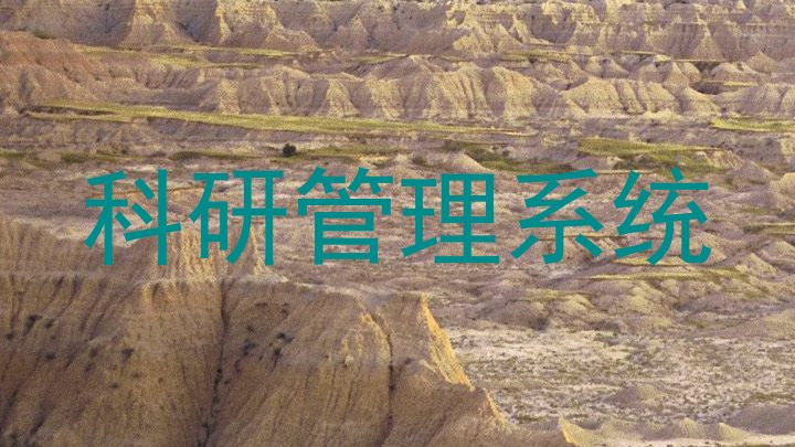 科研管理系统